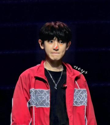 朴灿烈